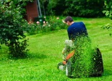 Kwikfynd Lawn Mowing
sthelena