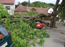 Kwikfynd Tree Cutting Services
sthelena